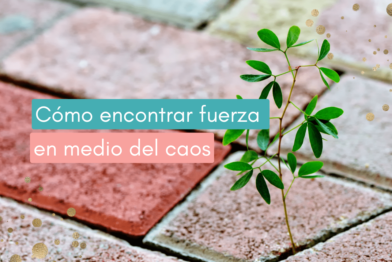 Resiliencia cómo encontrar fuerza en medio del caos