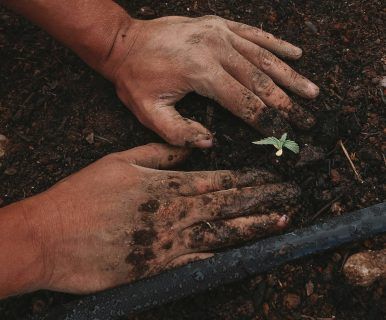 Ecoansiedad y cambio climático: cuando no es un trastorno